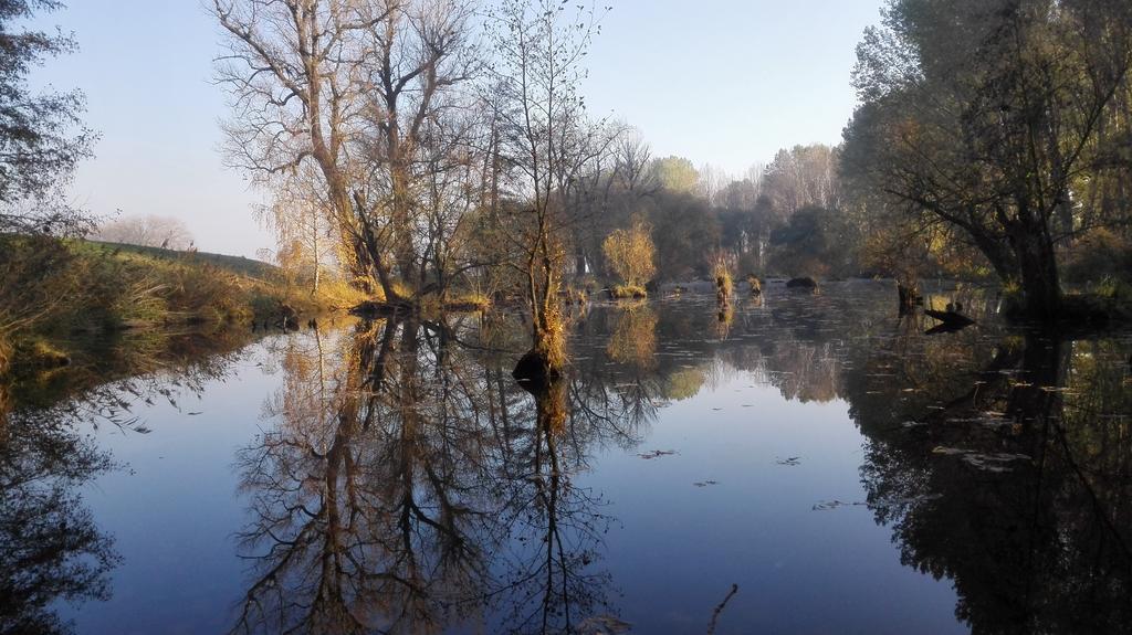 Zoopark Zelcin Villa Mělník Esterno foto